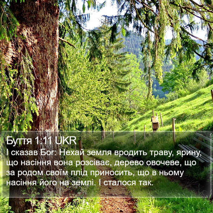 Буття 1:11 UKR Bible Study