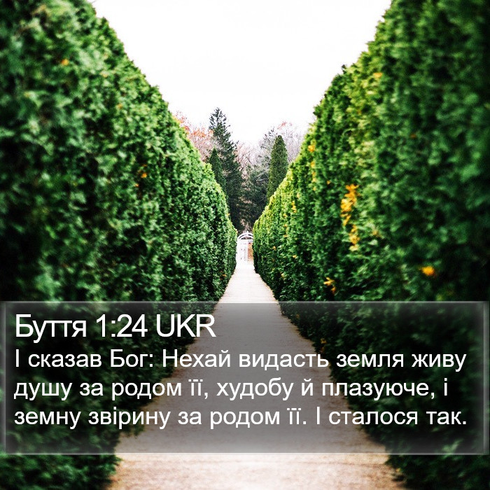 Буття 1:24 UKR Bible Study