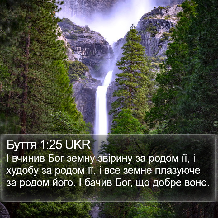 Буття 1:25 UKR Bible Study