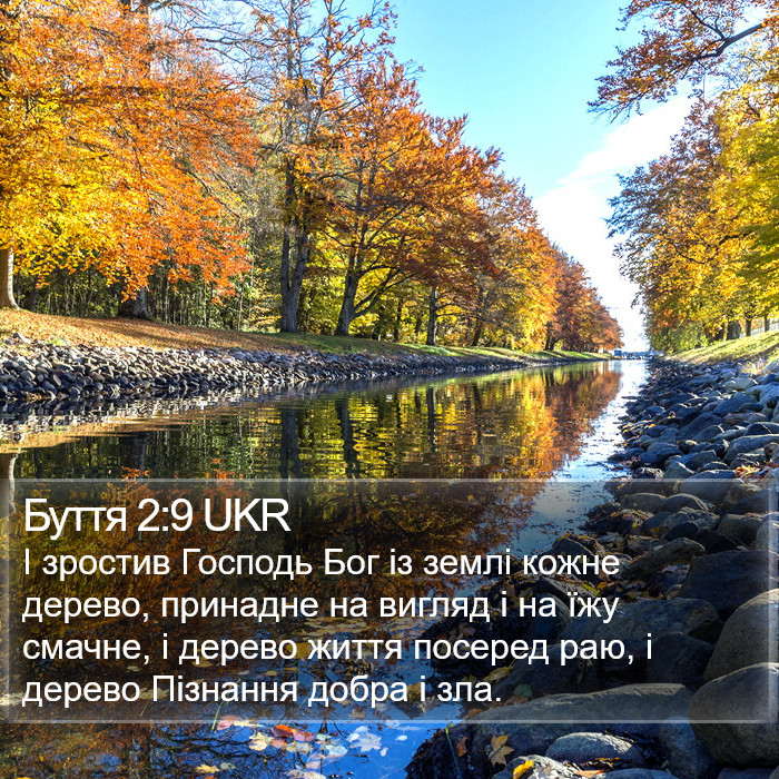 Буття 2:9 UKR Bible Study