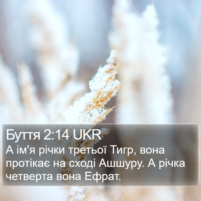 Буття 2:14 UKR Bible Study