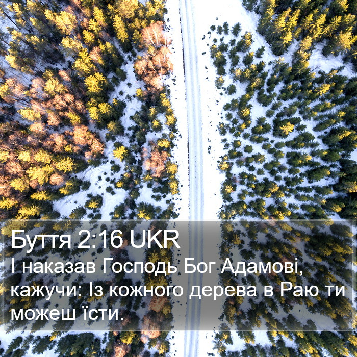 Буття 2:16 UKR Bible Study