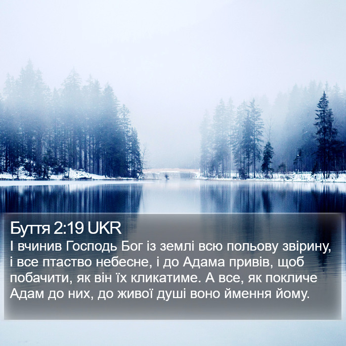 Буття 2:19 UKR Bible Study