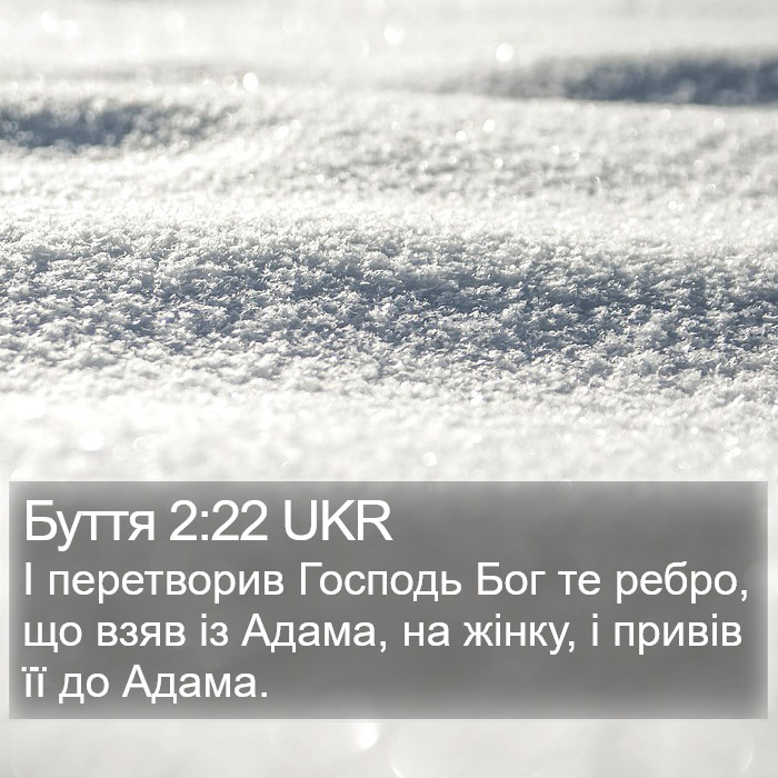 Буття 2:22 UKR Bible Study