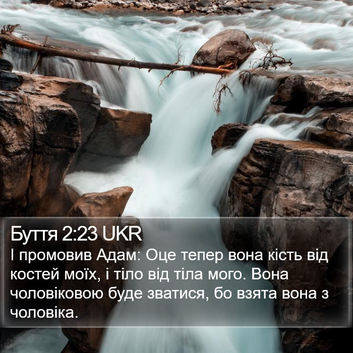 Буття 2:23 UKR Bible Study