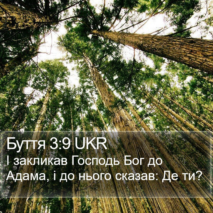 Буття 3:9 UKR Bible Study