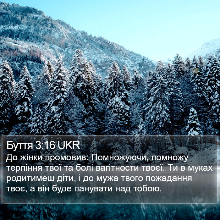 Буття 3:16 UKR Bible Study
