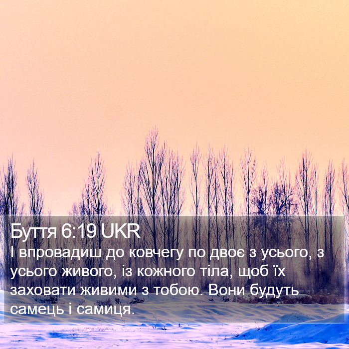 Буття 6:19 UKR Bible Study