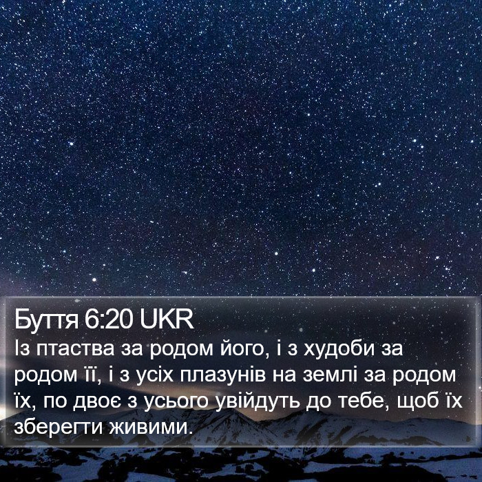 Буття 6:20 UKR Bible Study