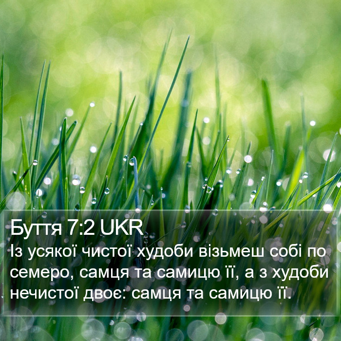 Буття 7:2 UKR Bible Study