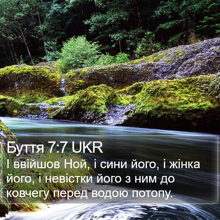 Буття 7:7 UKR Bible Study