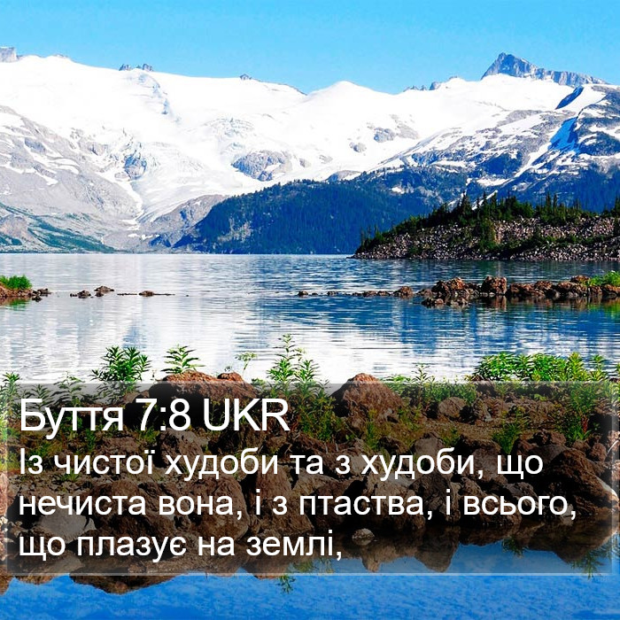 Буття 7:8 UKR Bible Study