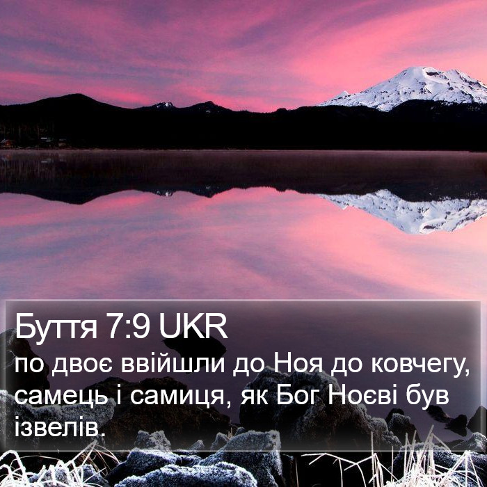 Буття 7:9 UKR Bible Study