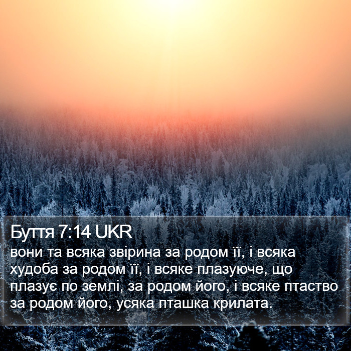 Буття 7:14 UKR Bible Study