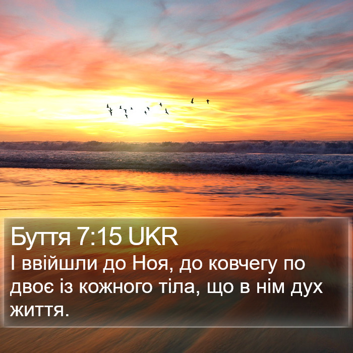 Буття 7:15 UKR Bible Study