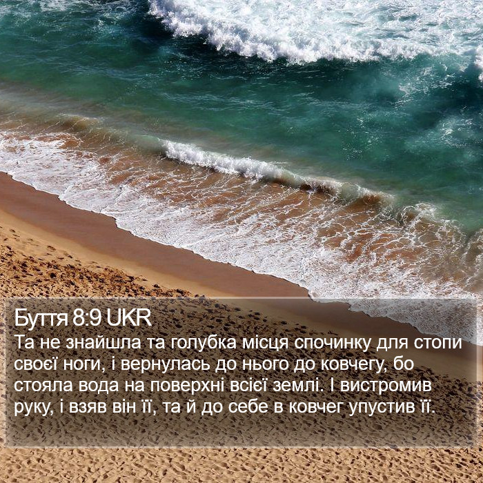 Буття 8:9 UKR Bible Study