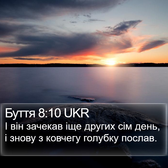 Буття 8:10 UKR Bible Study