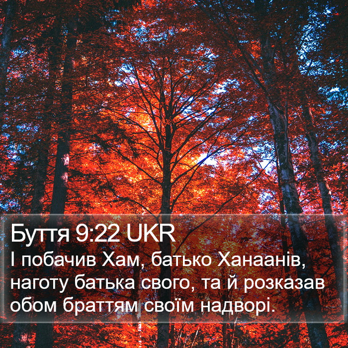 Буття 9:22 UKR Bible Study