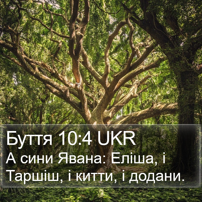 Буття 10:4 UKR Bible Study