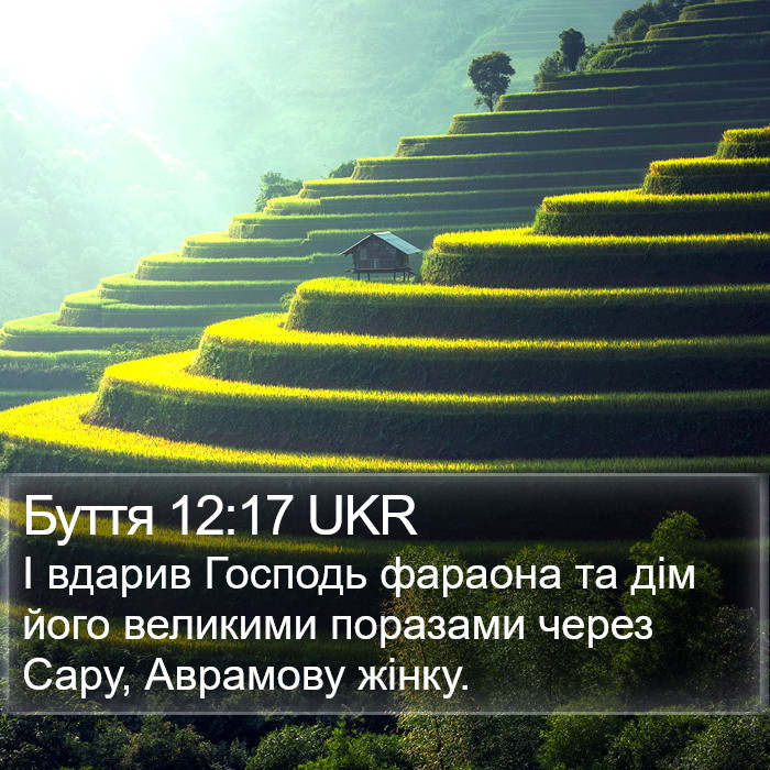 Буття 12:17 UKR Bible Study