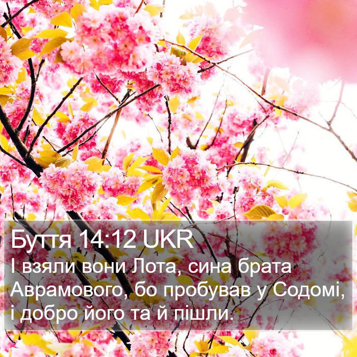 Буття 14:12 UKR Bible Study