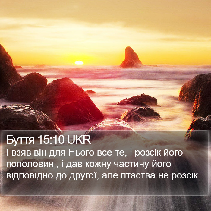 Буття 15:10 UKR Bible Study