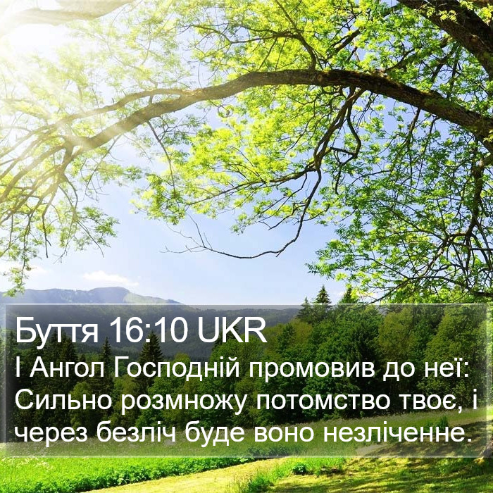 Буття 16:10 UKR Bible Study