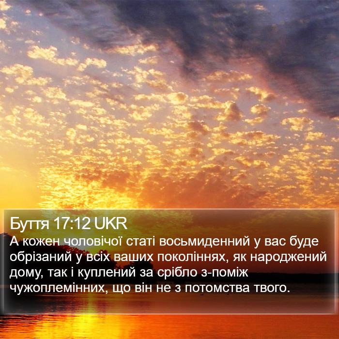 Буття 17:12 UKR Bible Study