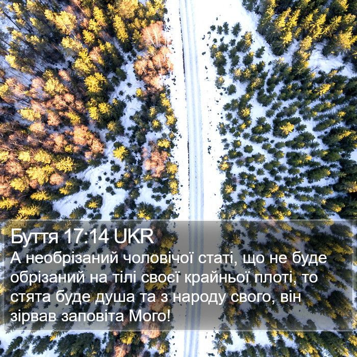 Буття 17:14 UKR Bible Study