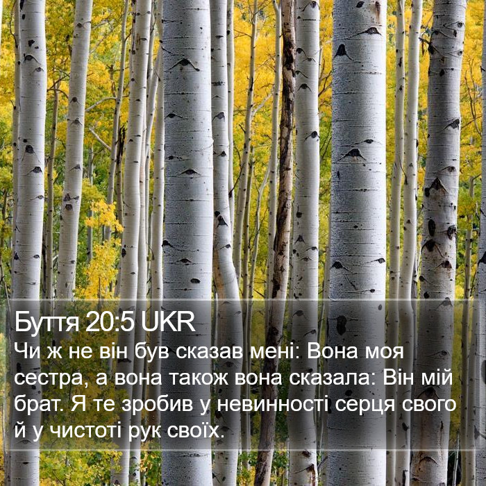 Буття 20:5 UKR Bible Study