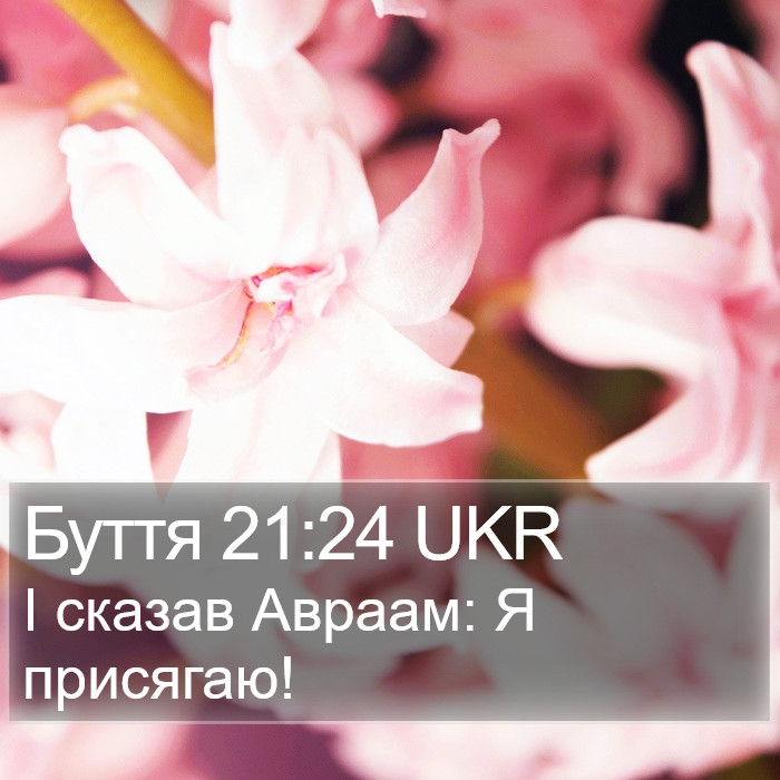 Буття 21:24 UKR Bible Study