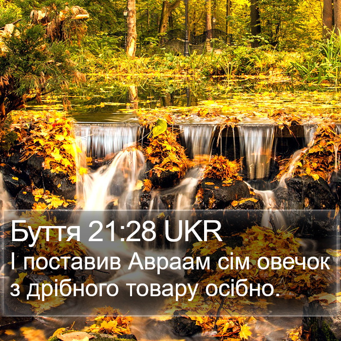 Буття 21:28 UKR Bible Study