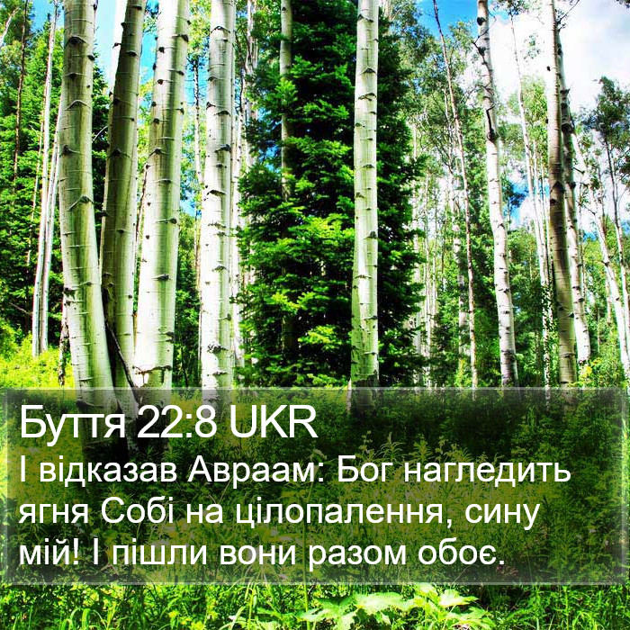 Буття 22:8 UKR Bible Study