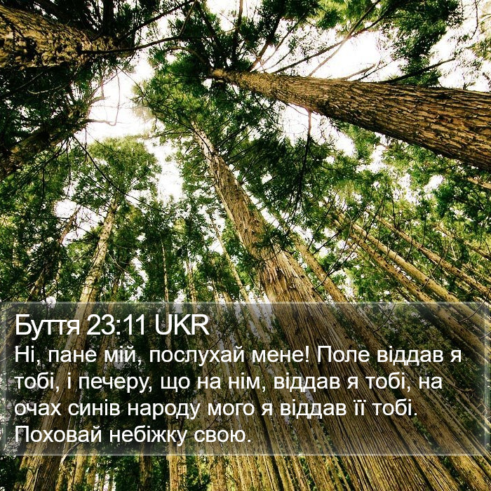 Буття 23:11 UKR Bible Study