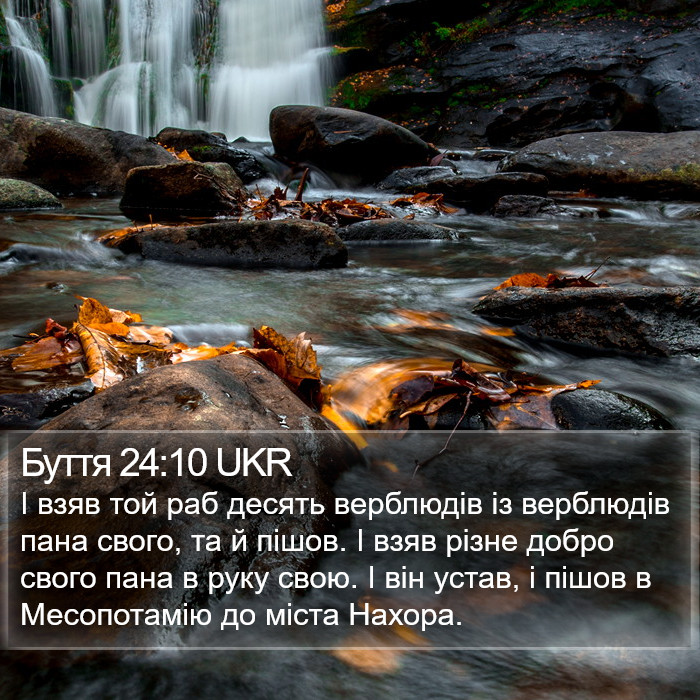 Буття 24:10 UKR Bible Study