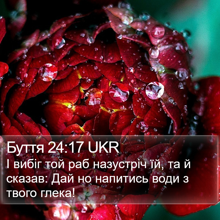 Буття 24:17 UKR Bible Study