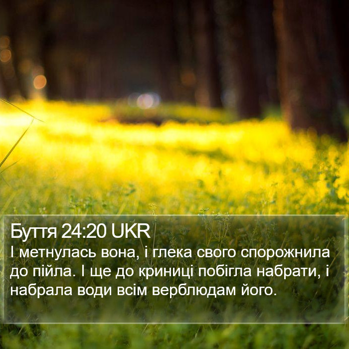 Буття 24:20 UKR Bible Study