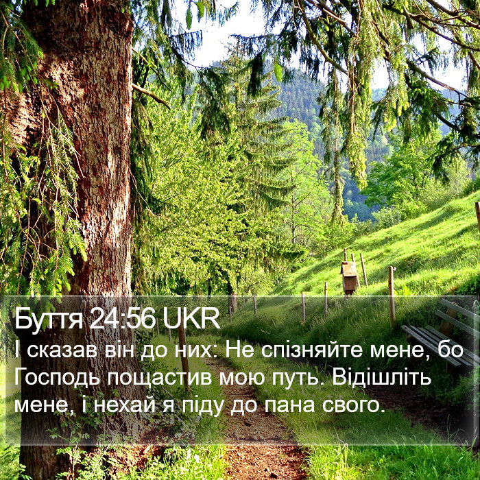 Буття 24:56 UKR Bible Study