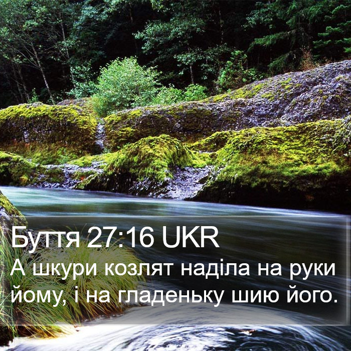 Буття 27:16 UKR Bible Study