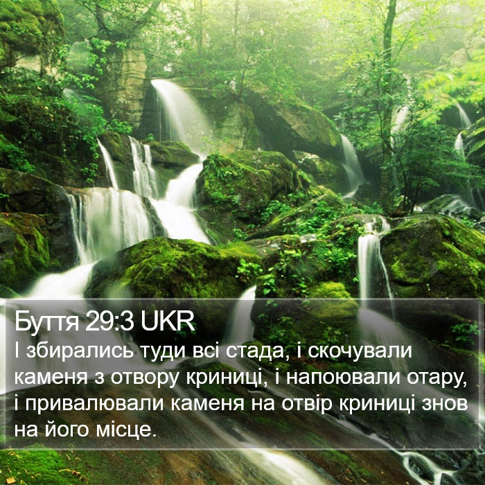 Буття 29:3 UKR Bible Study