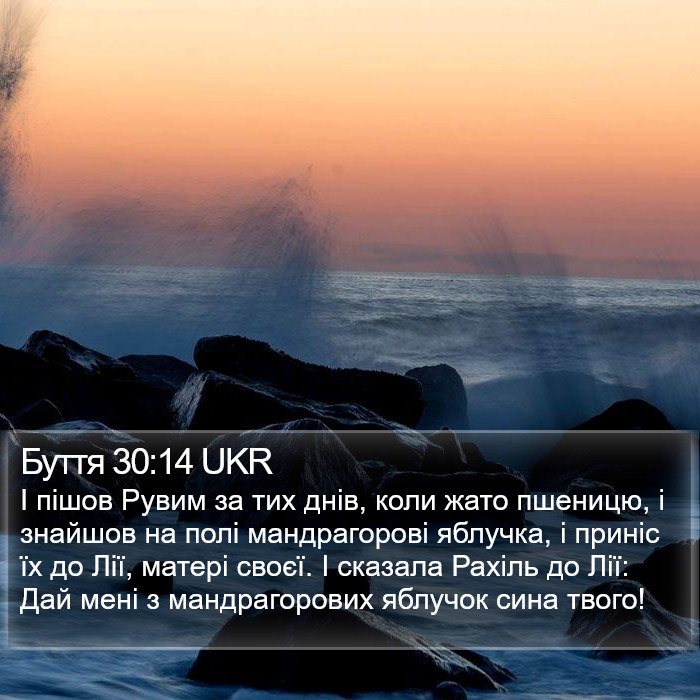 Буття 30:14 UKR Bible Study