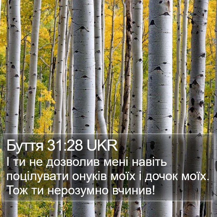 Буття 31:28 UKR Bible Study