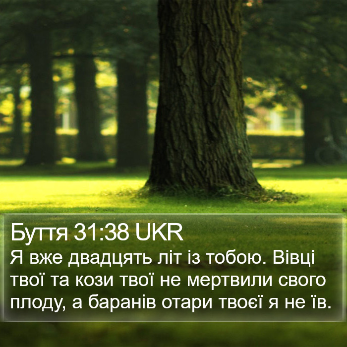 Буття 31:38 UKR Bible Study