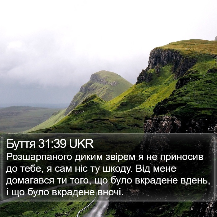 Буття 31:39 UKR Bible Study