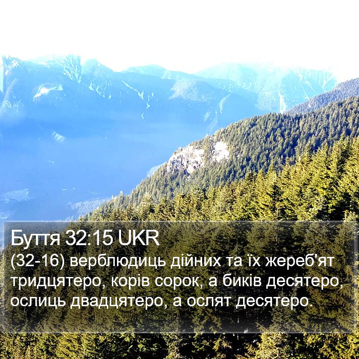 Буття 32:15 UKR Bible Study