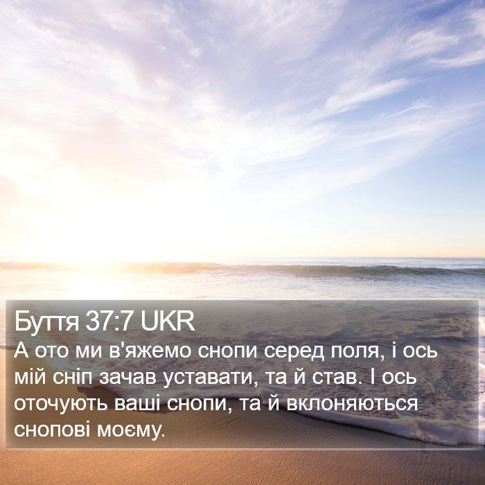 Буття 37:7 UKR Bible Study