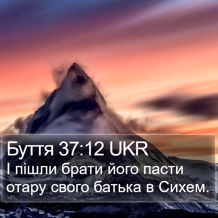 Буття 37:12 UKR Bible Study