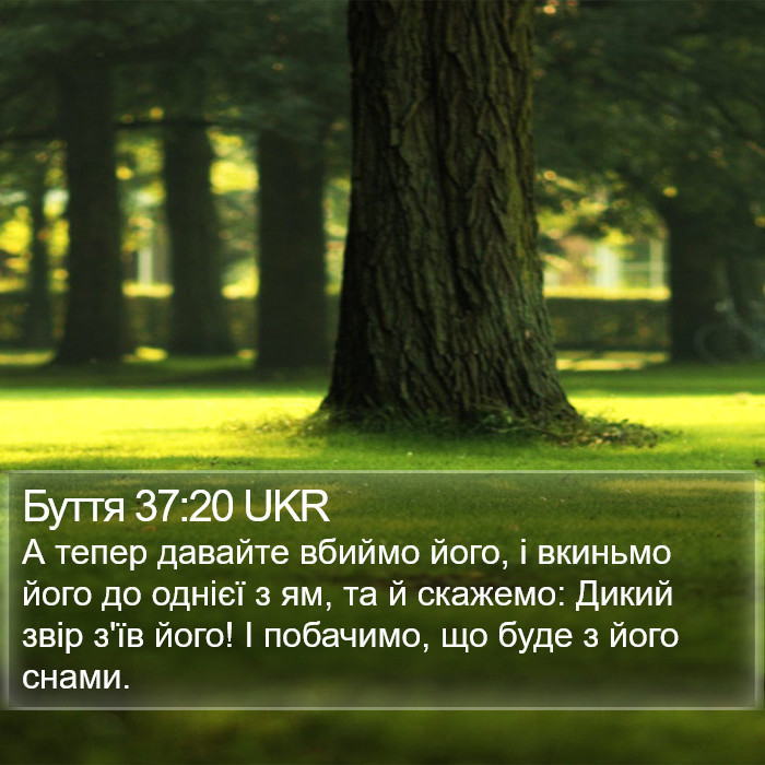 Буття 37:20 UKR Bible Study