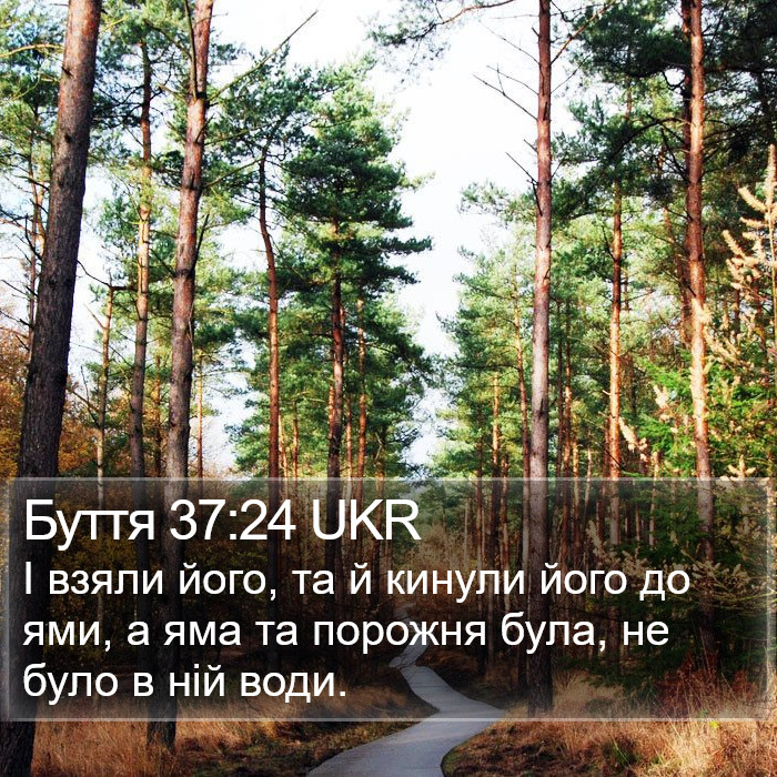 Буття 37:24 UKR Bible Study