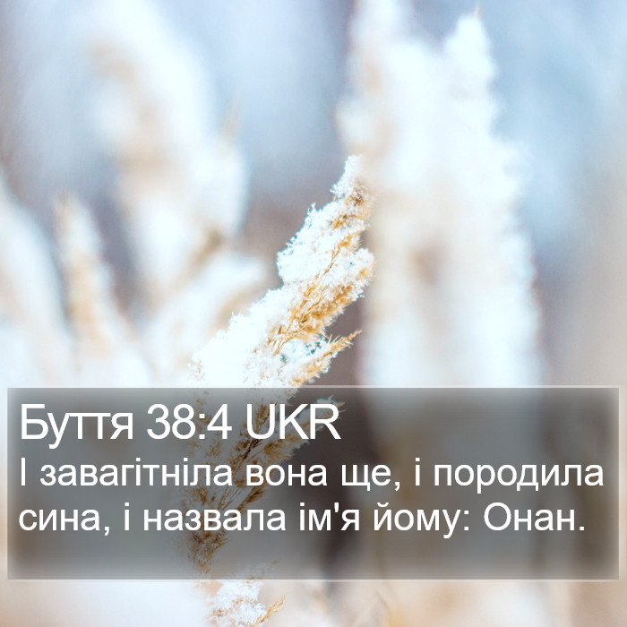 Буття 38:4 UKR Bible Study